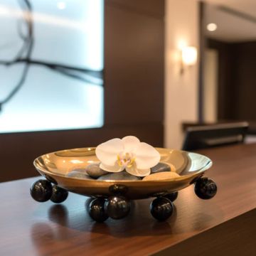 ORBIS ELEVATION BOWL